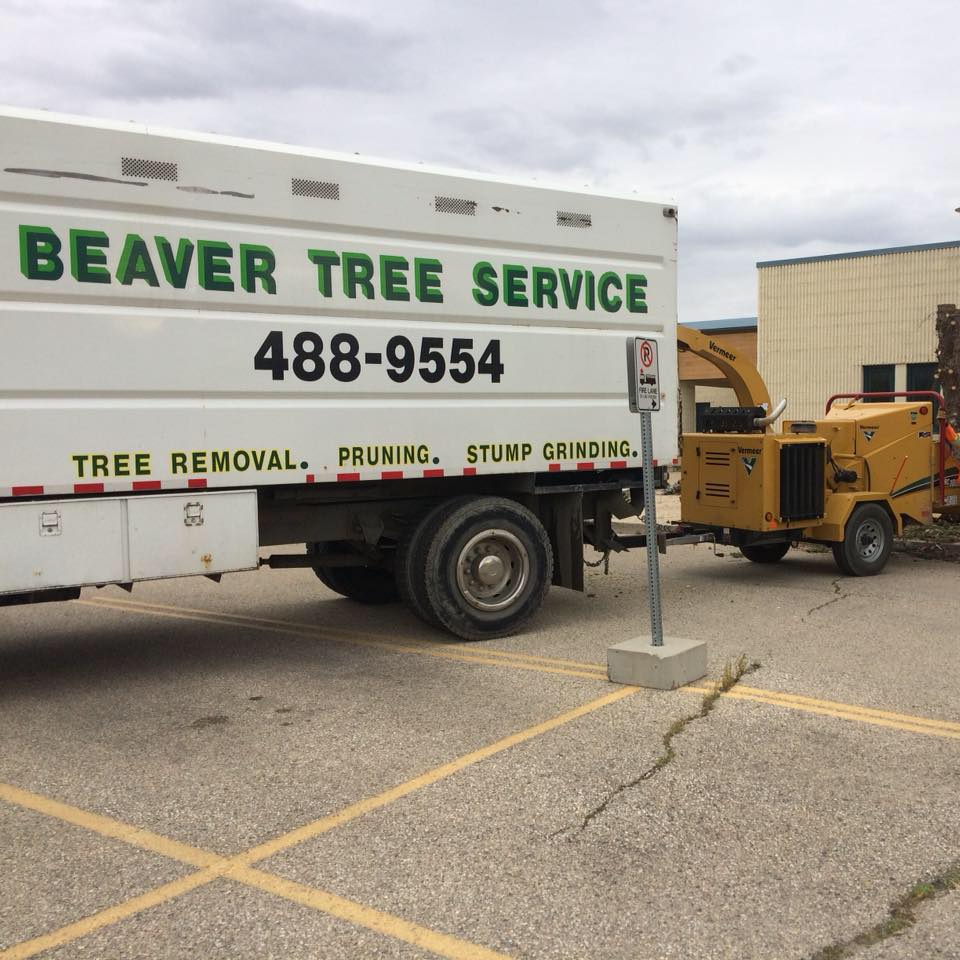 Beaver Tree Svc reviews