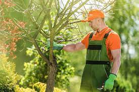 Final Cut Tree Service reviews