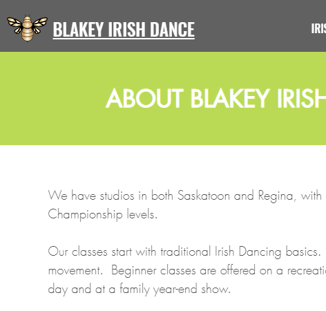 Blakey School of Irish Dance Saskatoon reviews