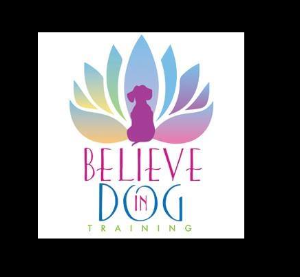 Stephanie Bennett's Believe in DOG Training reviews