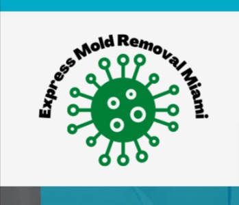 Express Mold Removal Miami reviews