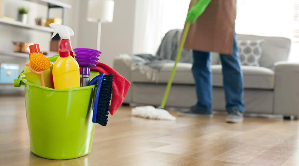 MaidThis Cleaning Downtown LA reviews