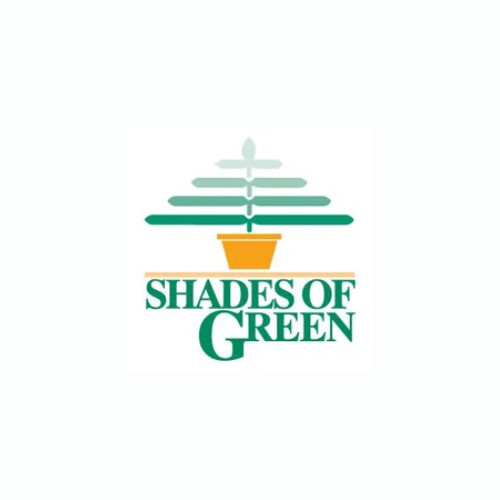 Shades of Green photo