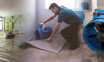 Saskatoon Fire & Flood Ltd reviews