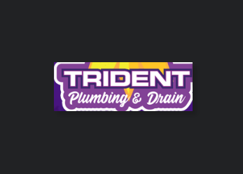 Trident Plumbing & Drain reviews