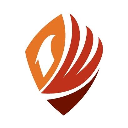 The DWI TEAM reviews