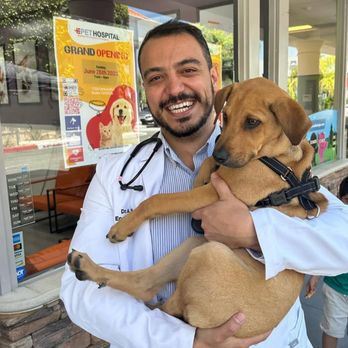 Encino Pet Hospital and Emergency photo