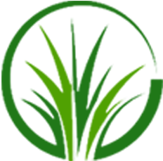 Sod Pros Landscaping photo