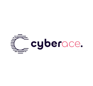 Cyber Ace Calgary | Web Design | Development & SEO Company photo