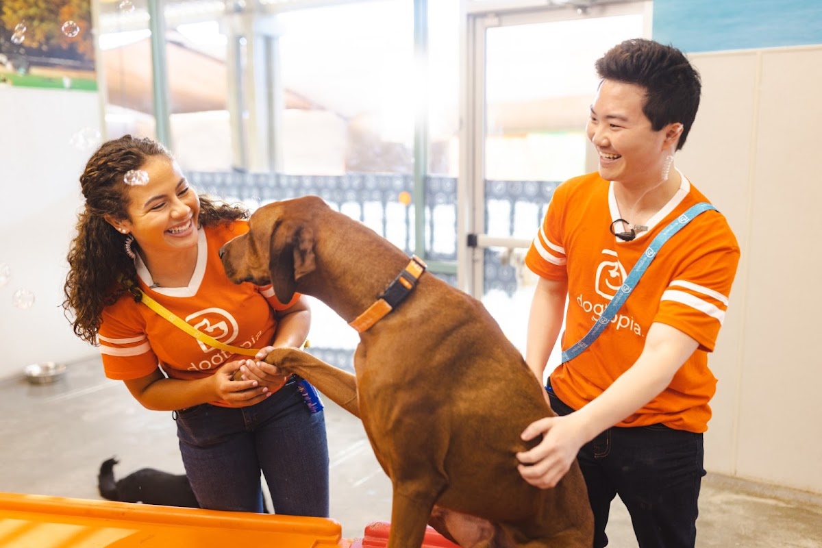 Dogtopia of Orlando - Apopka photo