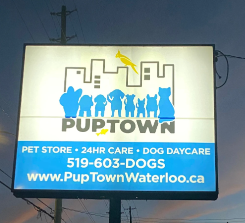 PupTown Waterloo reviews