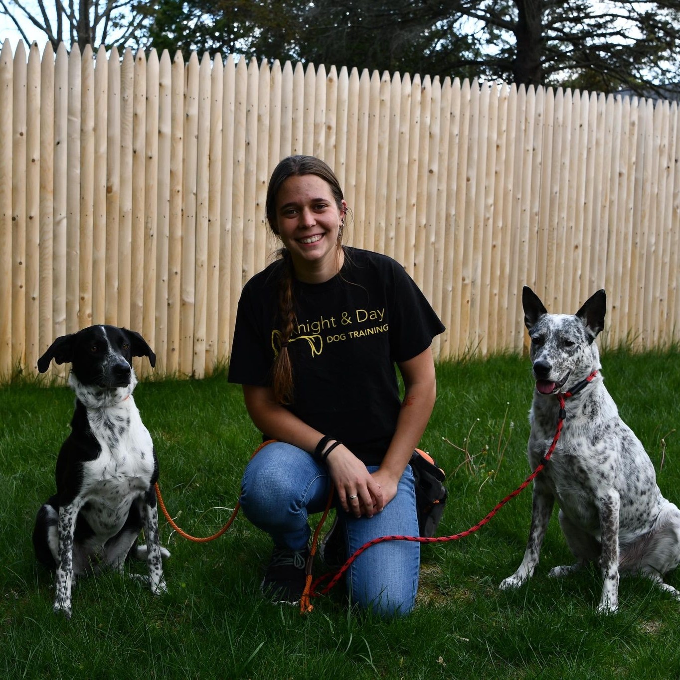 Knight and Day Dog Training LLC reviews