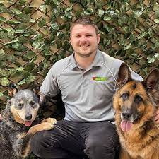 Diamond Dogs Training reviews