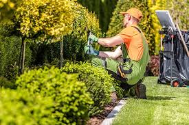 Cleaner Greens Lawn and Landscape LLC reviews