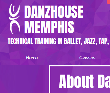 DanzHouse reviews