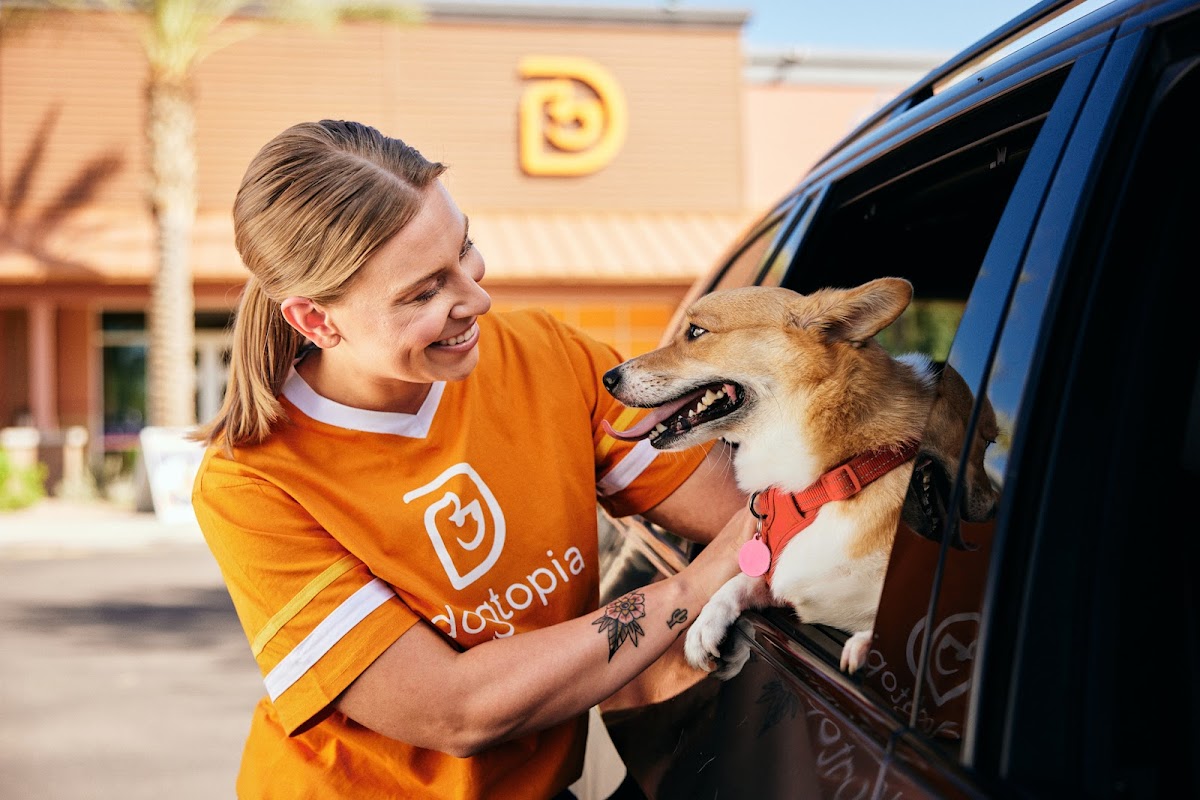 Dogtopia of Davis photo