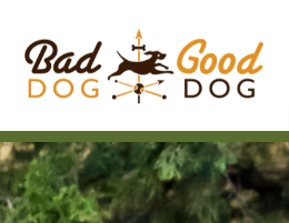 Bad Dog Good Dog Trainer reviews