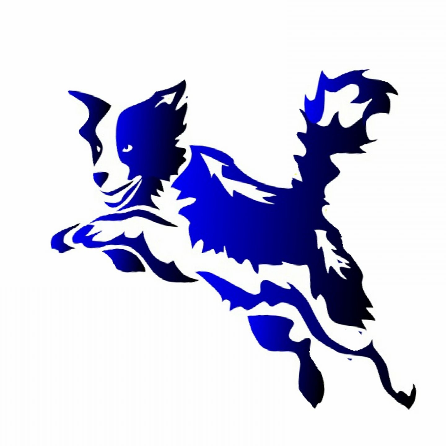 Azani Pro Training reviews