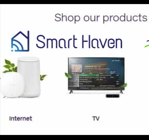 Smart Haven Security reviews