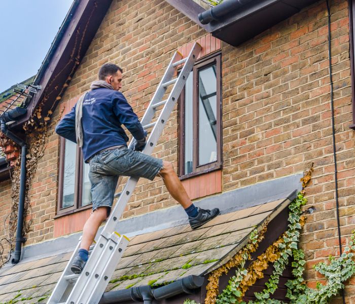 Winco Home Window Cleaning reviews