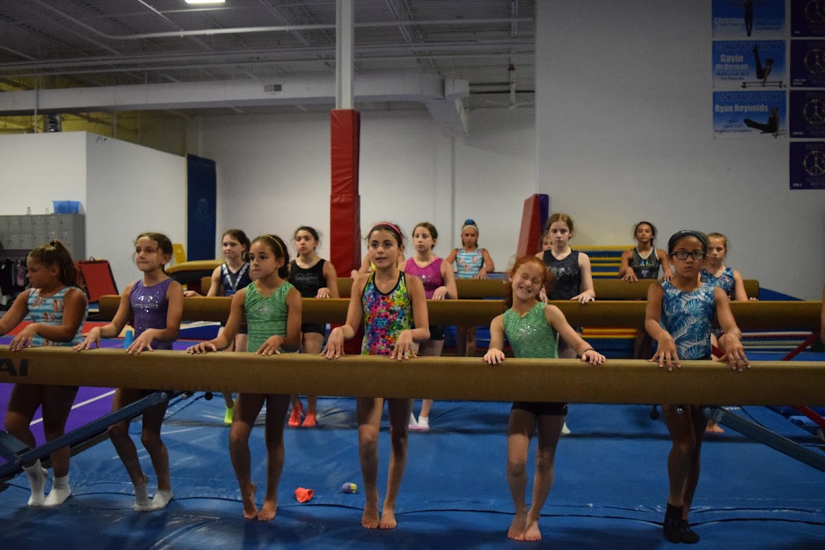 Levels Gymnastics reviews