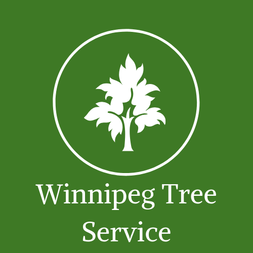 Winnipeg Tree Service reviews