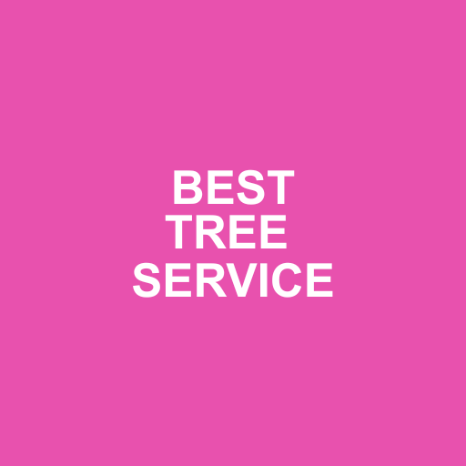Tony's Tree and Landscaping photo