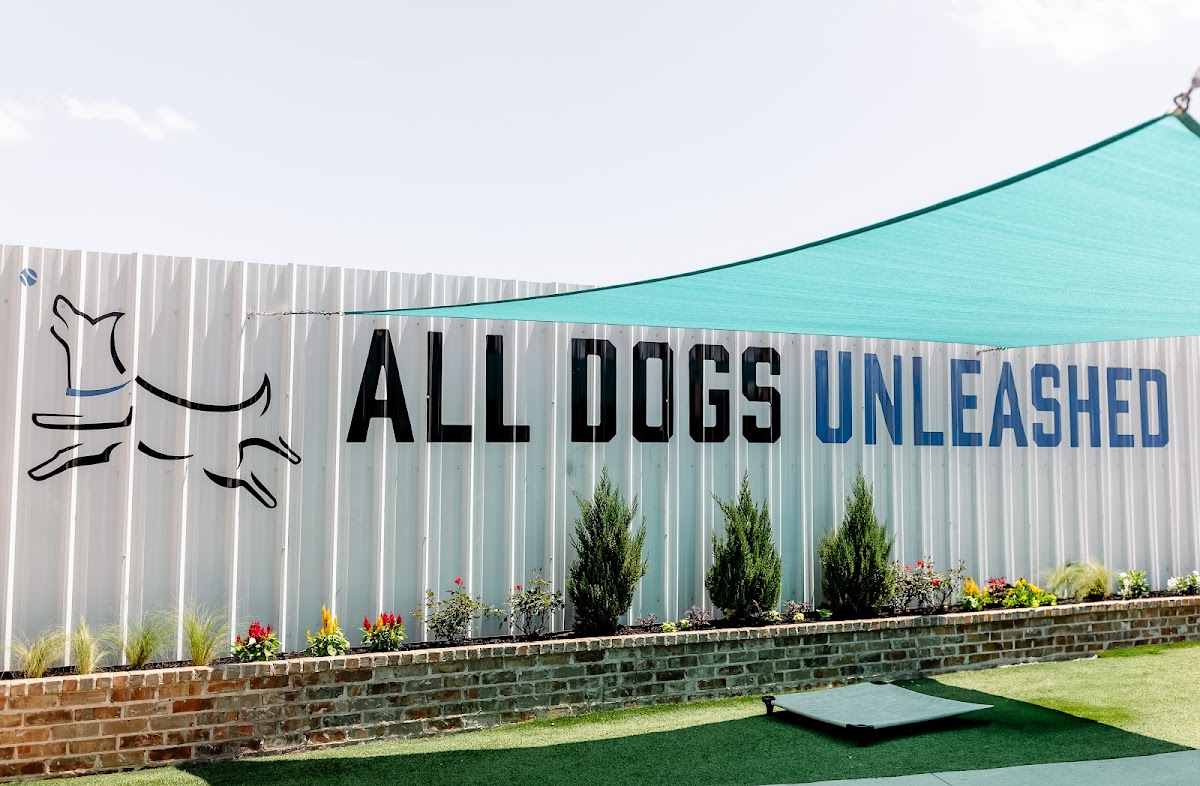 All Dogs Unleashed Dog Training Frisco reviews