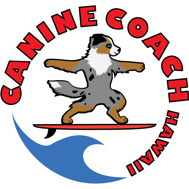 Canine Coach Hawaii reviews