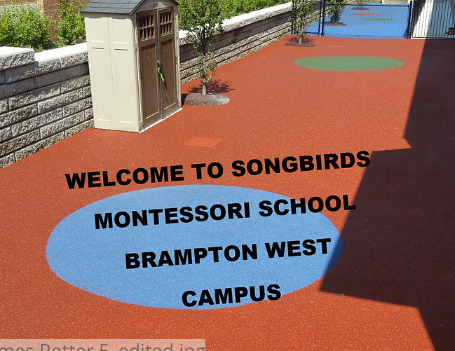 Songbirds Montessori School reviews