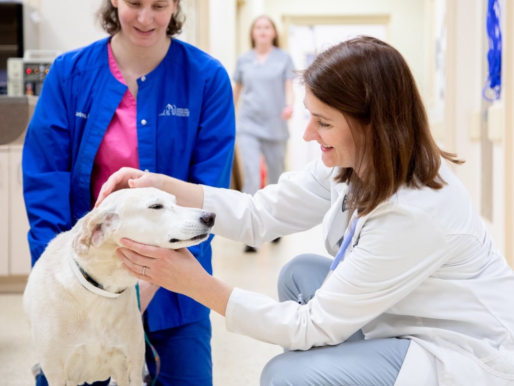 Lawson Heights Animal Hospital reviews