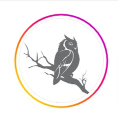 Little Owl Coffee reviews