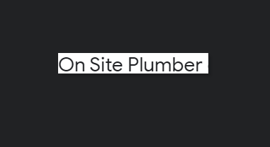 On Site Plumber & Leak Detection Pembroke Pines reviews