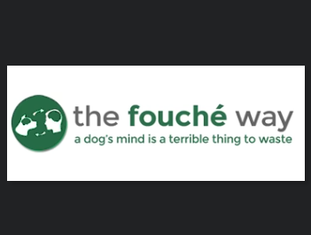 Brandon Fouche reviews