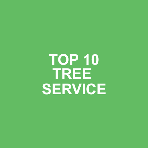 Tony's Tree and Landscaping reviews