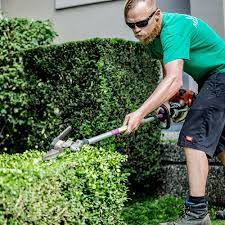 Cody Landscape reviews