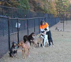 PetSuites Chisholm Trail reviews