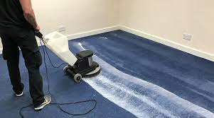 BEVERLY HILLS CARPET CLEANERS reviews