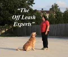 J C M's Dog Training reviews