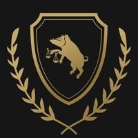 Texas Law Hog - DSG Law Firm, PLLC photos