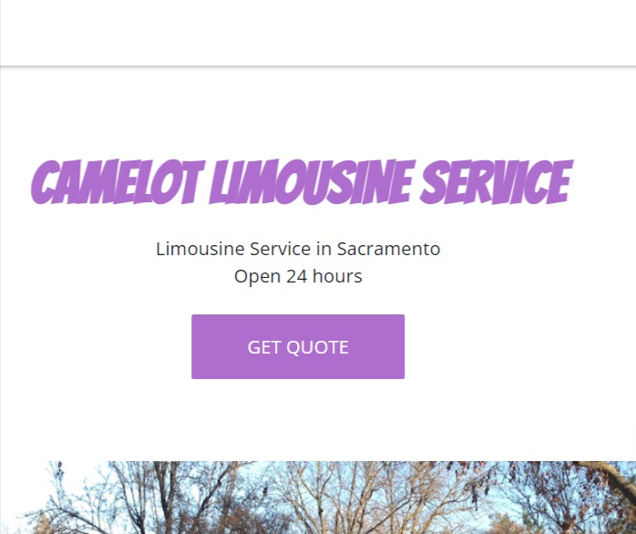 CAMELOT LIMOUSINE SERVICE reviews