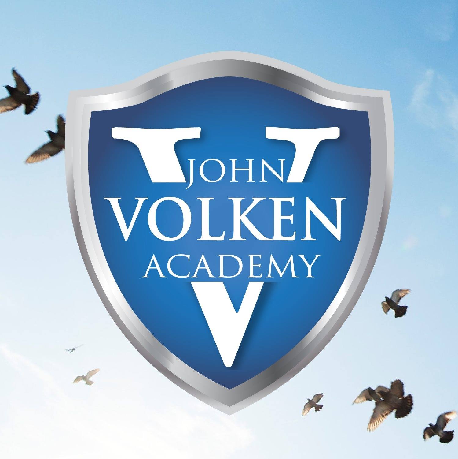 John Volken Academy reviews