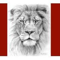 Lyon Family Law reviews