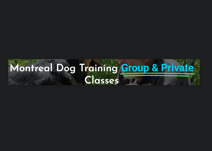 Montreal Dog Training reviews