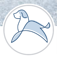 Calm Canine Academy - New York reviews