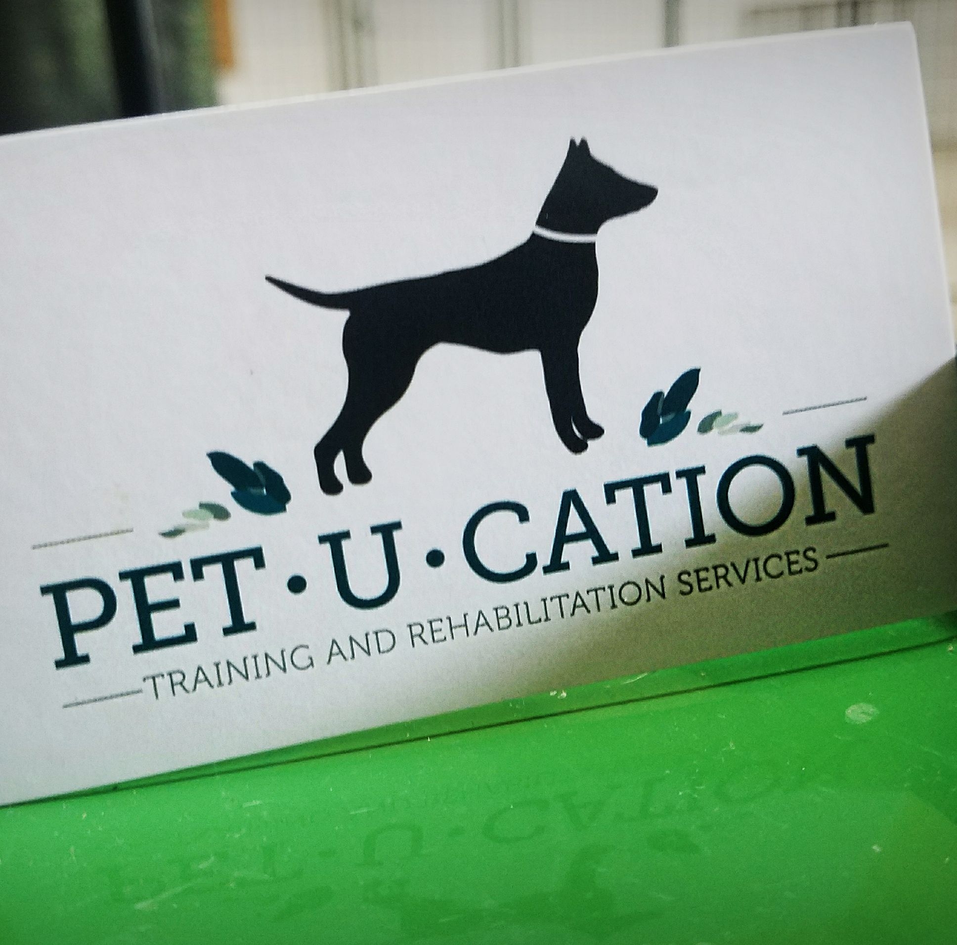 Pet-U-Cation Training & Rehabilitation Services, LLC reviews