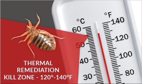 Vanish pest control Inc. photo