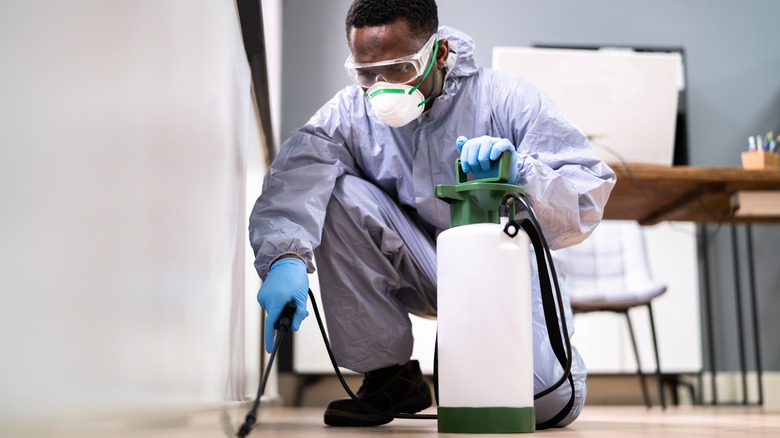 Vanish pest control Inc. photo