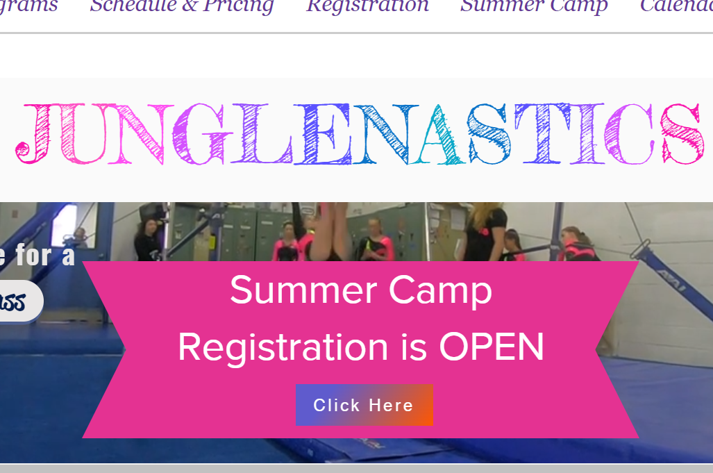 Junglenastics reviews