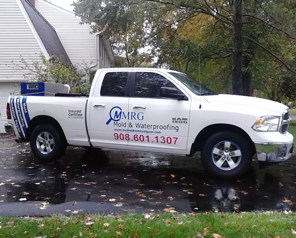 MMRG Mold Remediation & Basement Waterproofing photo